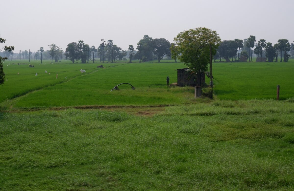 Dialjameen