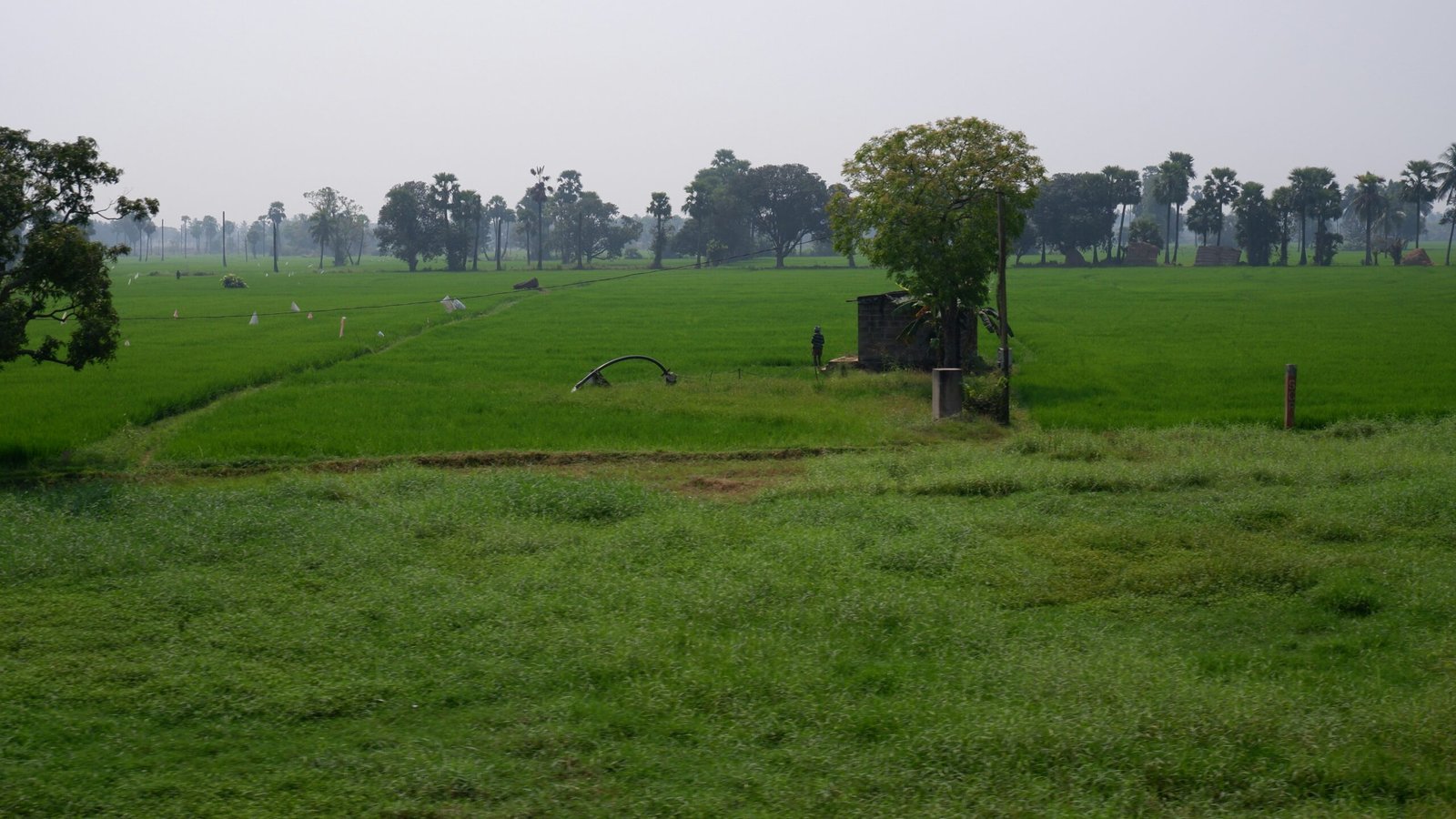 Dialjameen